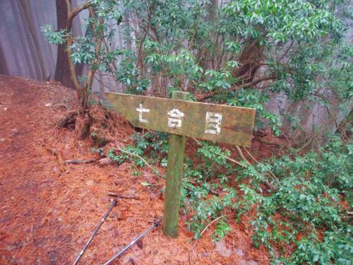 七合目に到着。この付近からまた平坦な道になる