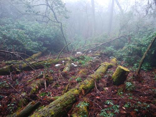 ガスとこういう感じの図は好きなんだけど、なんか物足らない感じ