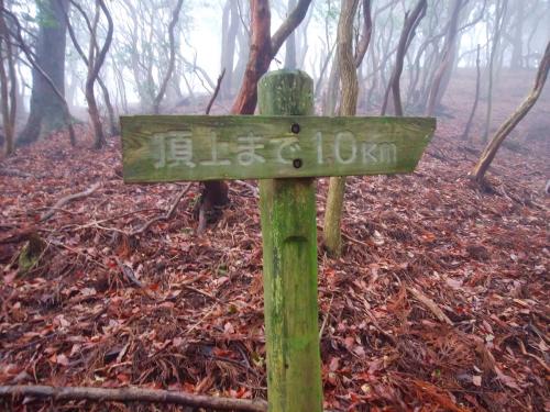 尾根取り付き手前に頂上まで1.0kmとなってたけど、地図みてもどう考えてもそんなに距離ない