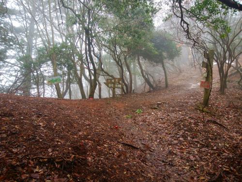 尾根取り付きに到着。ちょうどここが笠形山ピークの直下
