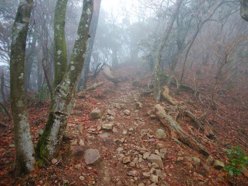笠形山ピーク直下はちょっとしたガレ場の登り。でももうあと少し