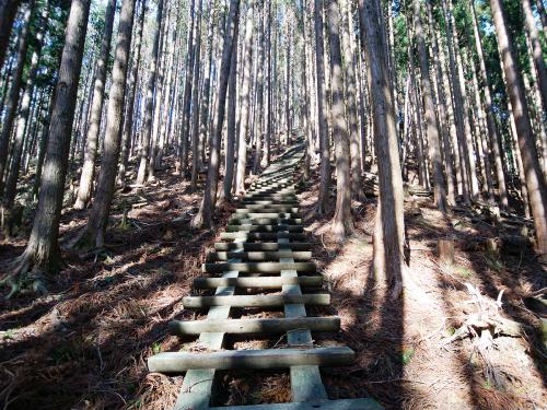 いきなりの長い階段。最初からこれは疲れる