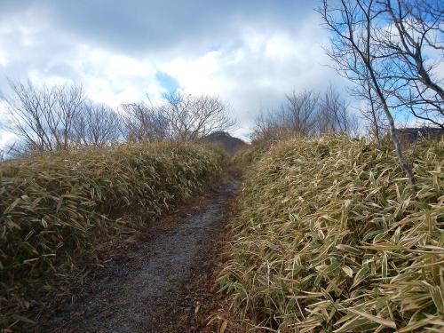 青空が少しでて良い感じの道になった