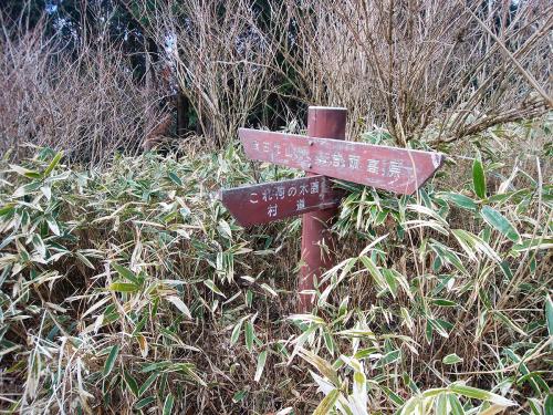 この道標は気になったのが「これ何の木園村道」だけど、なんだろう！？