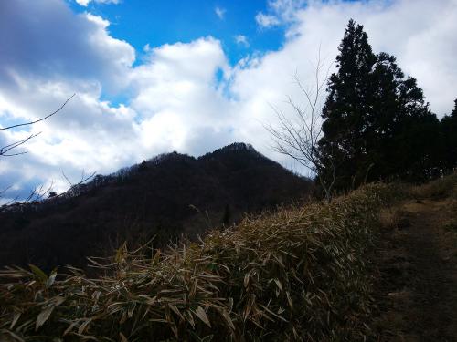 これからあのピークに登るのか・・・結構高い