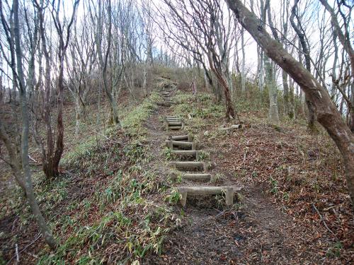 少し急登の階段だった