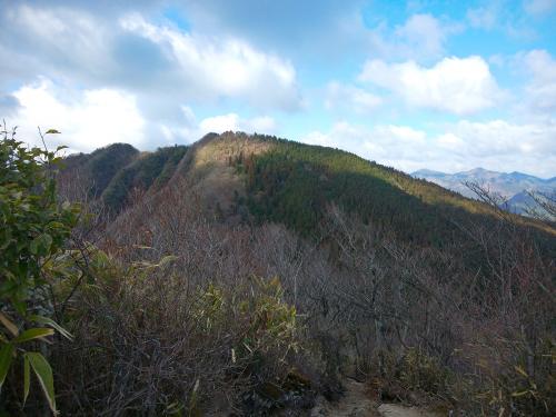 これから登る古光山のピーク。地図でもそうだけど、結構下らされるようだ