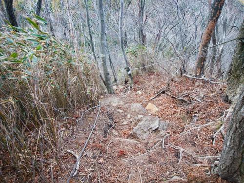 この激急斜面の下りはすごかったし、慎重に下りていったので時間がかかった