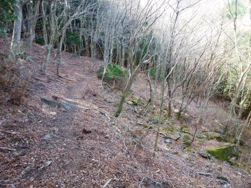 激急斜面を下ったら少し楽な道になる