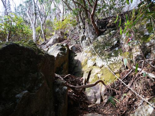 やはりさっきの下りの激急斜面くらいのところを登ることになった。まあ登りのほうが簡単