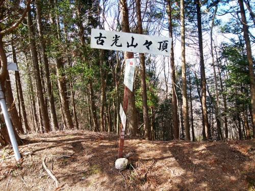 古光山山頂(952.7m)に到着。眺望はないけど、事前調査した記事によればどこかに開けた場所があるはず
