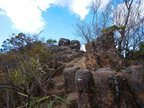 途中岩場があり開けてそうな場所があった