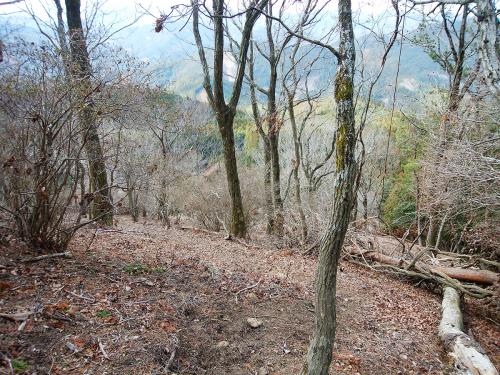 大峠の手前付近はわずかな踏み跡を辿っていかないといけない。まあテープはあったけどコースアウトしやすい感じだった