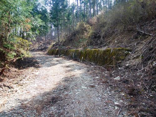 このコンクリートの壁の付近までくるとあともう少しなんだが