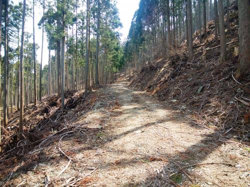 やっぱ林道長いなあ