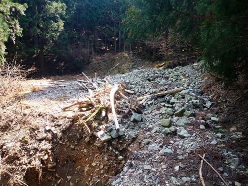 林道終点に到着。ここから登山道になる