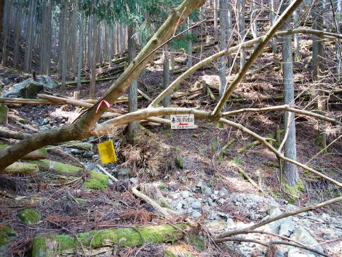 登山道入口には岳の洞（学能堂山）へのプレートがあった