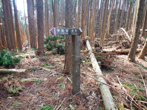 稜線に登ると杉平峠。道標があって、山頂まであと0.8km。まあここからはなだらかな道も含むのであともう少し