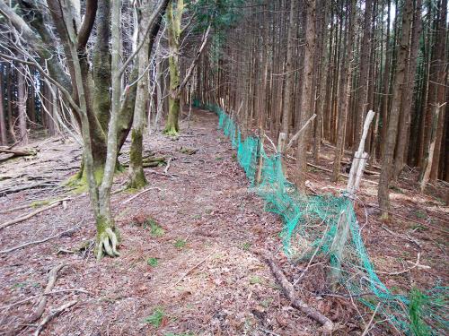 獣除けネットがあった。しばらく、このネット伝いに歩く