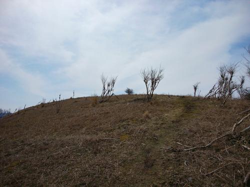 さっきの植林帯とはうってかわり吹き曝しで周りになにもない場所に出た
