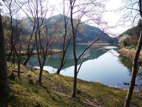 池の左側を歩いていく