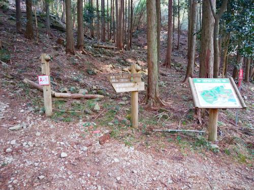 ここが登山口で登りスタート