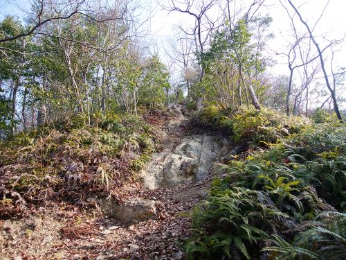 いきなり急登が続く