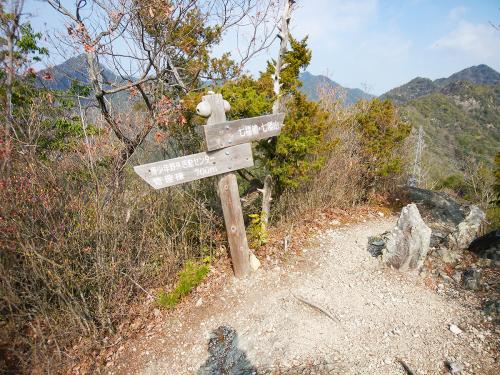 尾根に取り付き、ここからはアップダウンの続くコースとなる