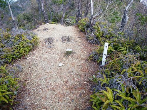 393.2mの三角点。三角点しかない