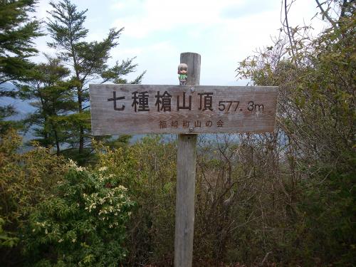 雪村あおいちゃんを撮影