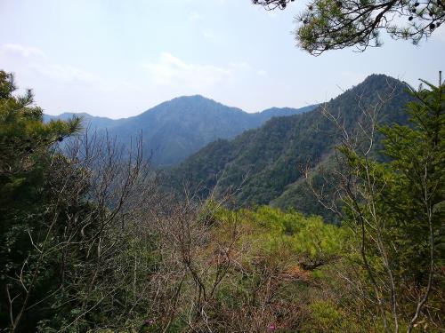 展望台からの眺望はこれだけ