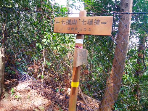 この付近まではなだらかな尾根道だったけど、ここからは登りになっていく