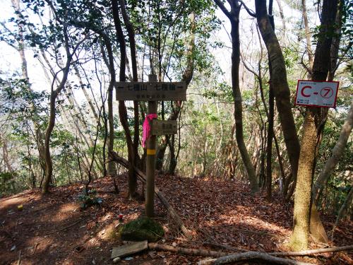 P552付近。まだもうひと登りあるけど、スローペースだったのでまだいけそう