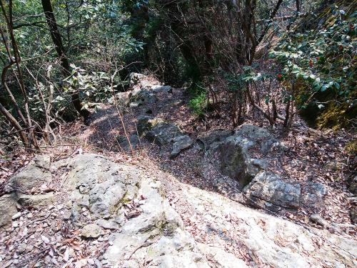 嫌な感じの岩場の下り。こういうところはつるっと滑るのが嫌