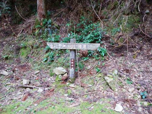 野外センターまで3kmとちょっと心折れそうな林道歩きが始まる