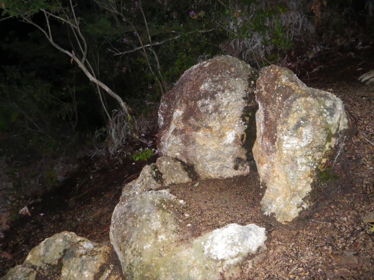 とび坂ナイトハイキング4