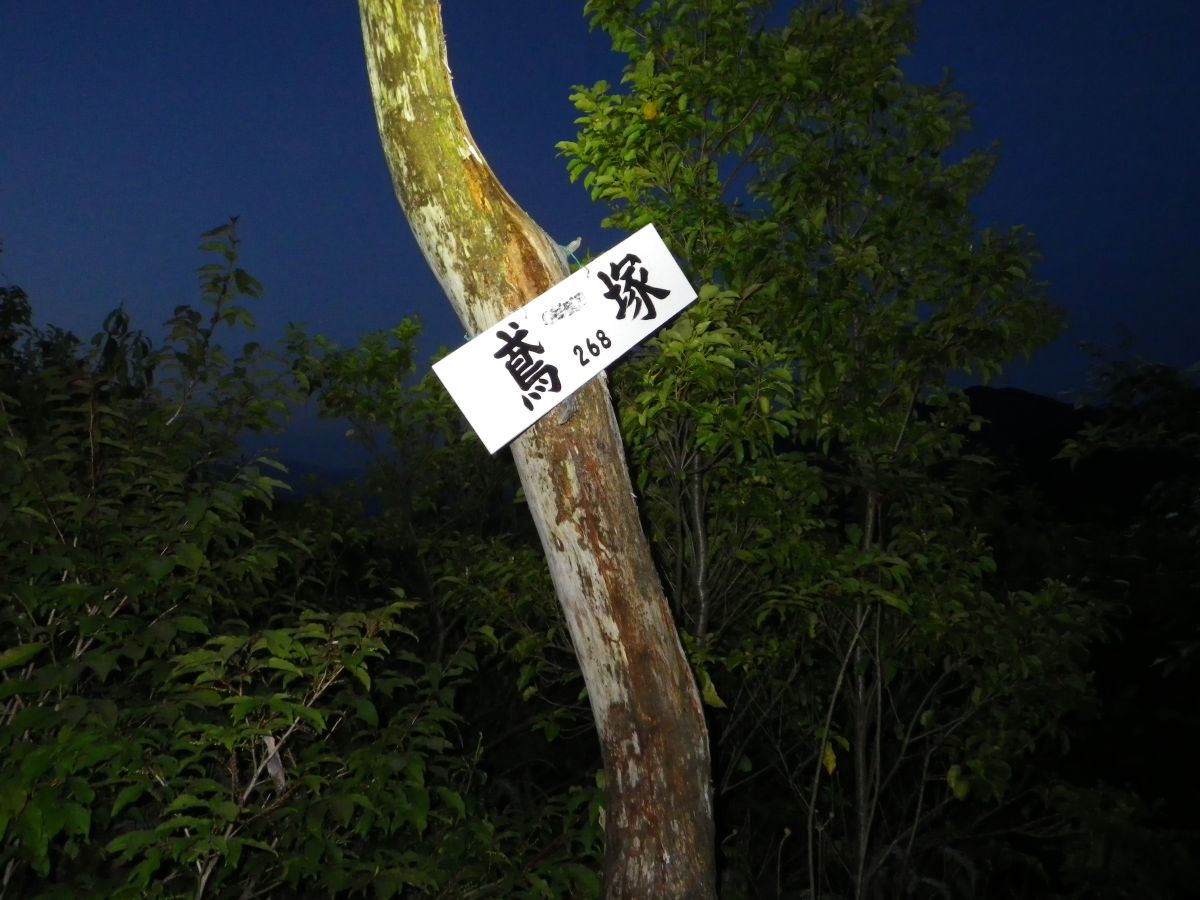 とび坂ナイトハイキング5